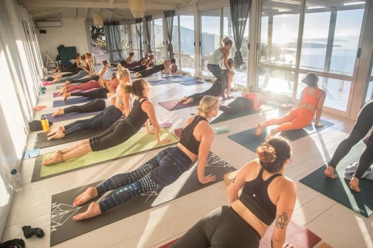 How can yoga teacher training help you with physical well-being?