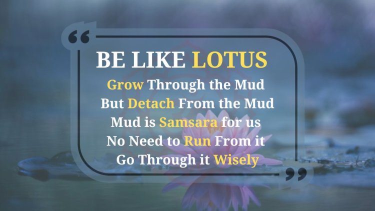 When life gets muddy, be like the lotus