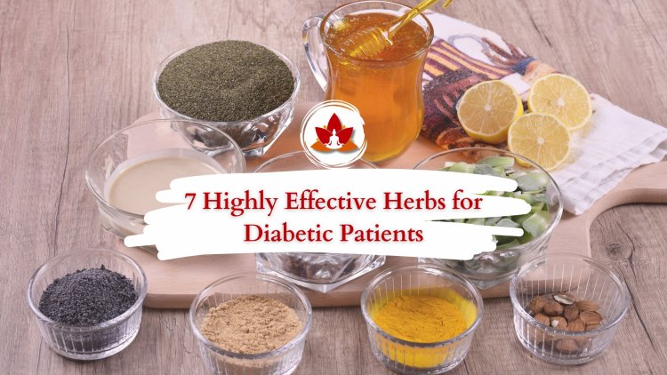 7 Highly Effective Herbs for Diabetic Patients: Natural Remedies for Better Health