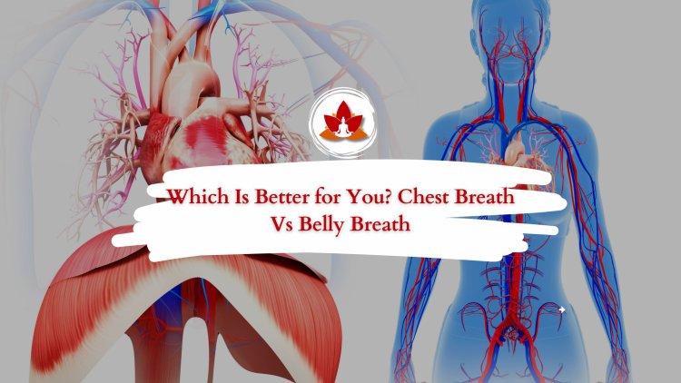 Chest Breathing vs Belly Breathing: Which One is Best for You?