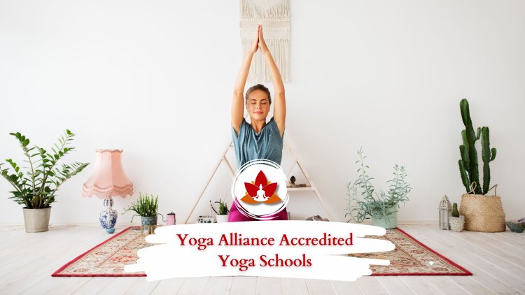 Yoga Alliance Accredited Yoga Schools 2024-2025