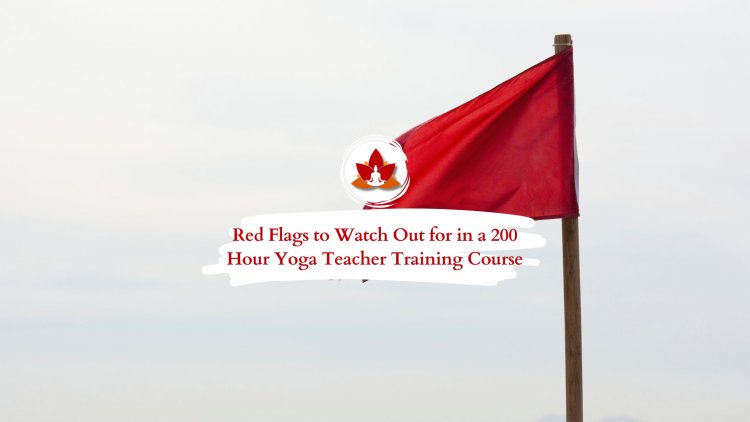 8 Red Flags to Watch Out for in a 200-Hour Yoga Teacher Training Course