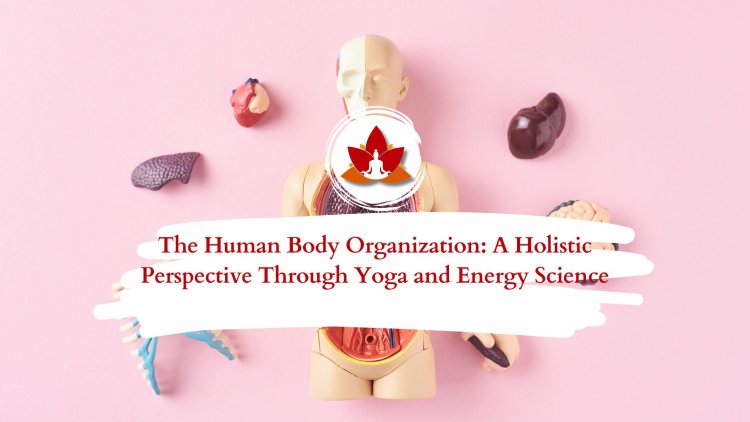 The Human Body Organization: A Holistic Perspective Through Yoga and Energy Science