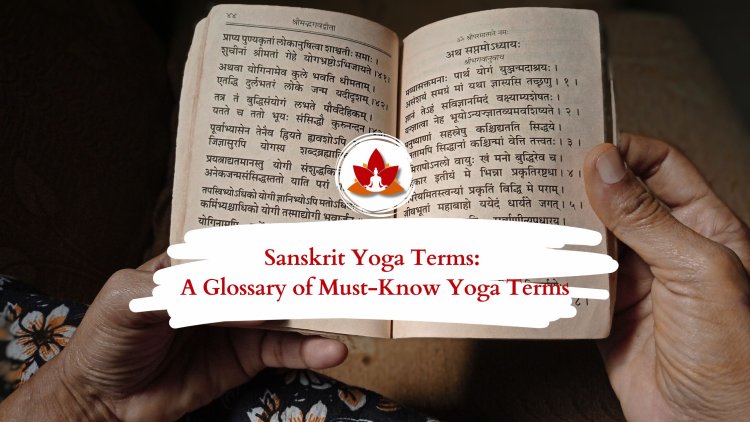 Sanskrit Yoga Glossary: Key Terms for Every Yoga Practitioner