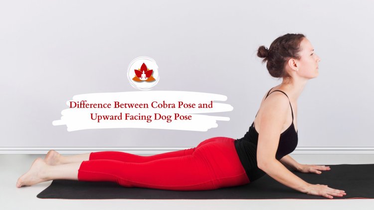 Cobra Pose vs. Upward Facing Dog: Key Differences Explained