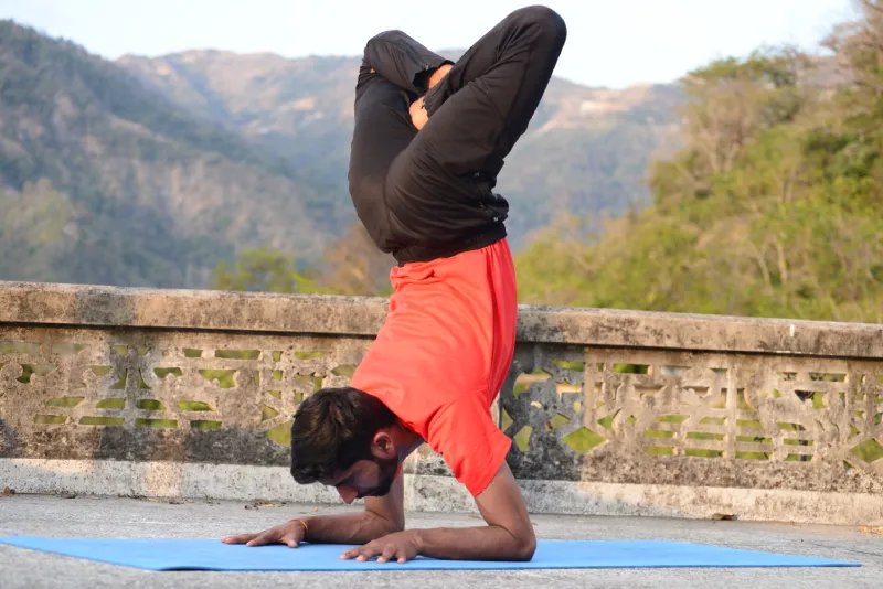 Ayurveda Course in Rishikesh